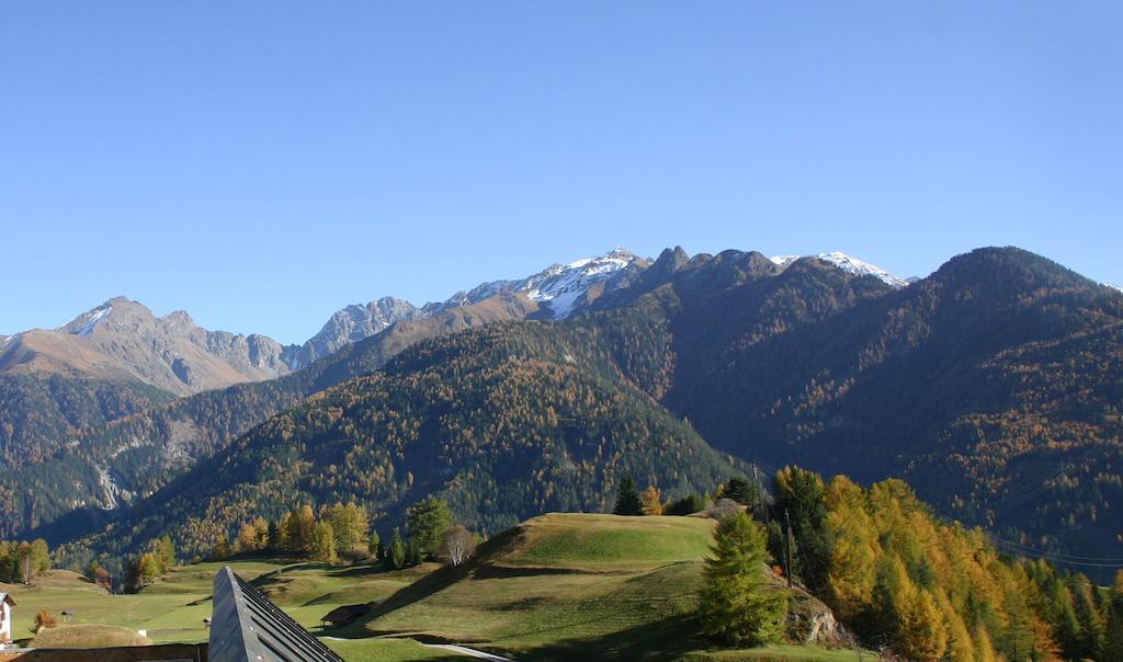 Geiger 3*